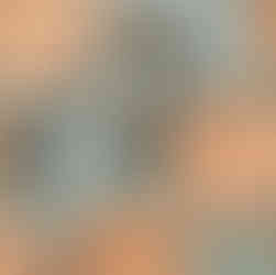 biodegradable plates and cutlery