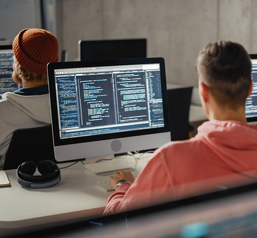 Software Programmer