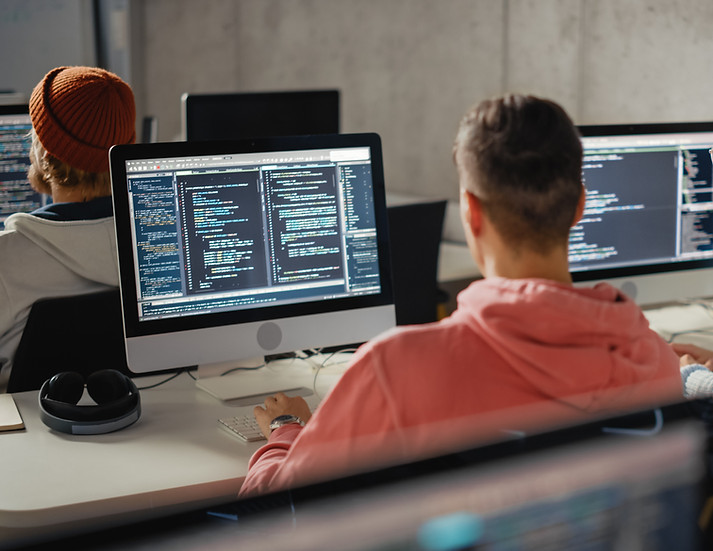 Software Programmer