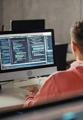Software Programmer