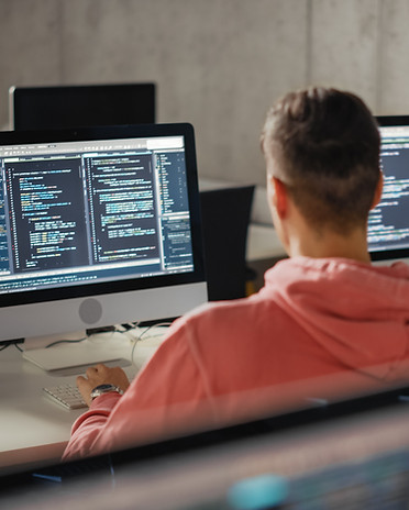 Programador de software