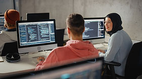 Programador de software
