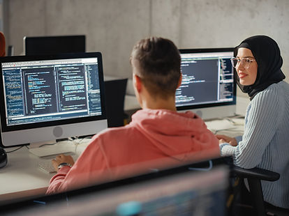 Programador de software