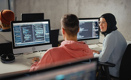 Software Programmers