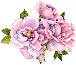 pink flowers
