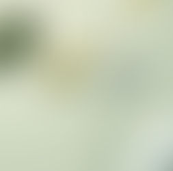 L'autonomie de la Conscience
