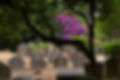 English cemetery