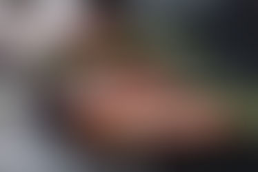 🥚🍶🍖Protéines & Endurance🏃🏼‍♀️🏃🏼‍♂️