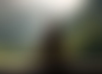 My 10 Day Vipassana Silent Meditation Retreat Experience