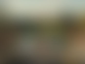 garden, topiary, home, design, landscape