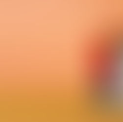 Newsletter 13 May 2022