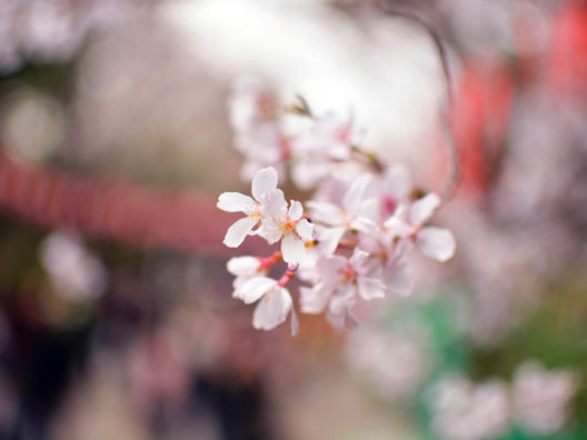 【思えば叶う】