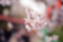 Pétales de fleurs blanches