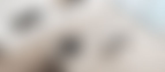 LOFTS AND PENTHOUSES