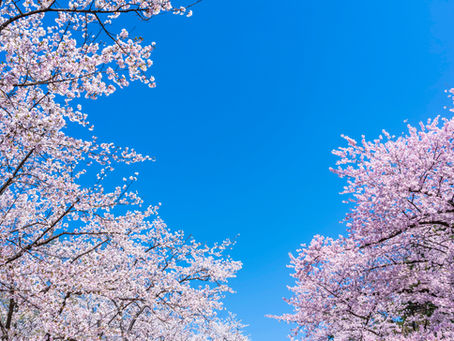 作業療法士金子の栄転についてのお知らせ