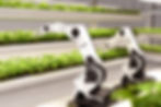 robots avec la nature