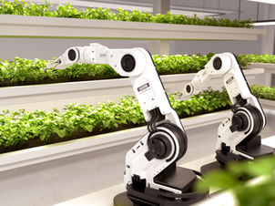 אוטומציה רובוטית של תהליכים