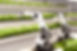 Smart Farming mit Loxone