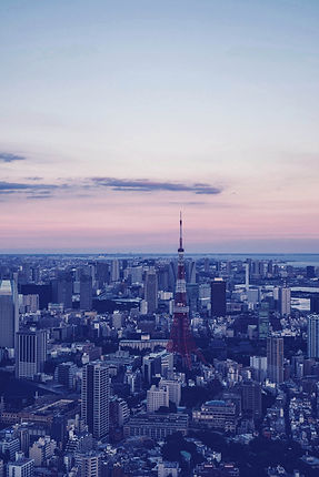 都市の航空写真