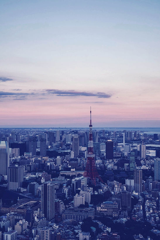 都市の航空写真