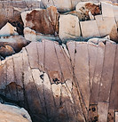 Cracked Rocks