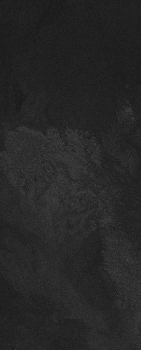 Fondo negro