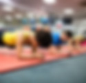 Plank Position