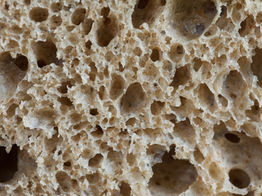 The Science of the Crumb