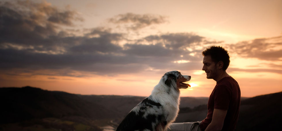 Pet loss grief support