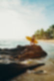 Surfer on rocky shore