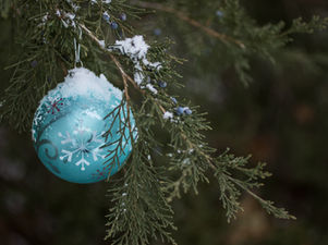 Weihnachten mit Hundepfoten: Das perfekte Geschenk für Mensch, Hund und Natur