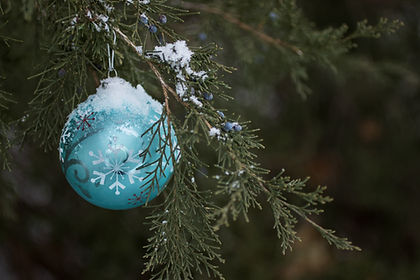 Bauble on Tree