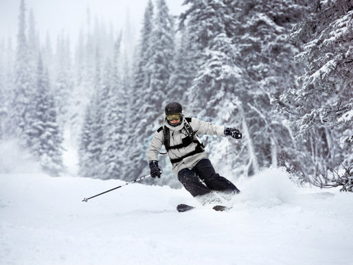 Skier in gray outfit descends a snowy slope, surrounded by snow-covered trees. Overcast sky enhances the serene, chilly atmosphere.