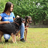 Girl with Dogs