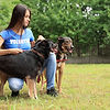 Girl with Dogs