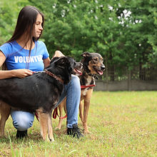 Girl with Dogs