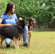 Girl with Dogs