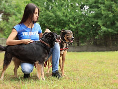 Girl with Dogs