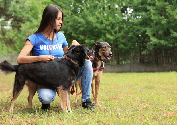Girl with Dogs