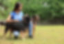 Girl with Dogs