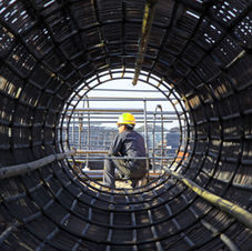 construction ecologist