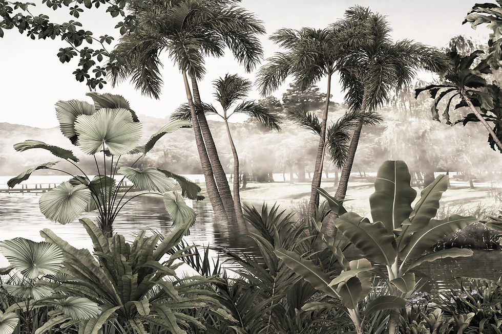 Tropical Landscape Scene