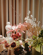 Indoor Flowers