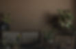 Plants Home Decor