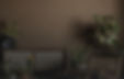 Plants Home Decor