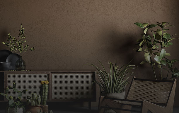 Plantes Décor À La Maison