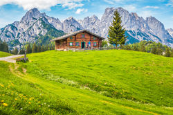 Haus auf einer Wiese