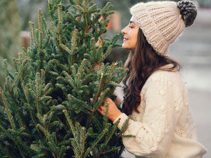 Sustainable Strategies for Disposing of Your Live Christmas Tree