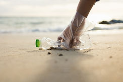 Beach Cleanup Action