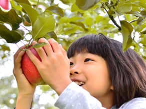 Pick Your Own ("You-Pick") Farms near Dallas